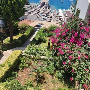  Hotel Amelie's & Albania